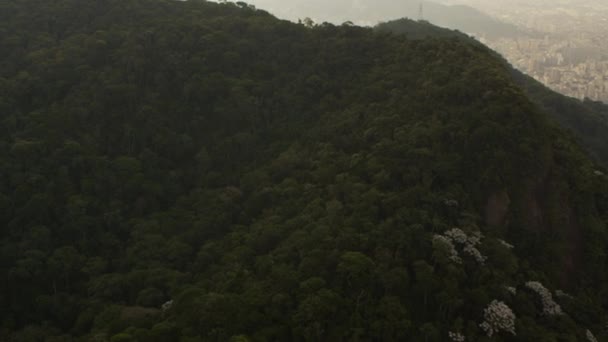 ジャネイロ ブラジルの山の横を厚く覆う木の映像をパン — ストック動画