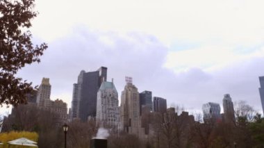 New York'ta şehir manzarası nın çekimi. Ağaçlar ve duman görülebilir.