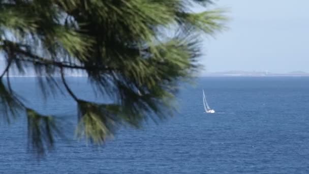 Veel Shot Van Een Zeilboot Oceaan Buurt Van Punta Ala — Stockvideo