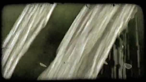 Vista Lateral Água Limpa Que Flui Borda Vintage Clipe Vídeo — Vídeo de Stock