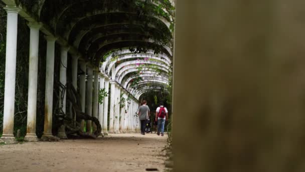 Couple Marchant Sous Des Arches Célèbres Dans Les Jardins Botaniques — Video