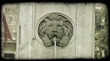 Viyana'da bir aslan baş çeşme bir kadeh. Vintage stilize video klip.