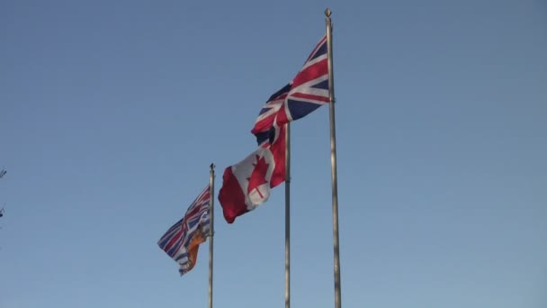 Vancouver Canadá Octubre 2012 Lanzamiento Medio Banderas Canadienses Soplando Viento — Vídeos de Stock