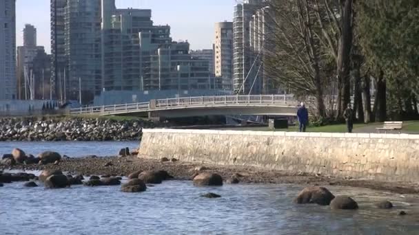Zoom Out Shot People Walking Stanley Park Next Beach Vancouver — стоковое видео