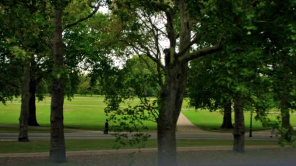 Vista Stazionaria Rallentatore Alti Alberi Verdi Hyde Park Gente Cammina — Video Stock