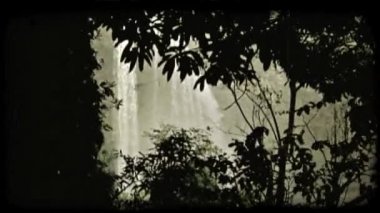 Yakınlaştırma oranı şelale silouetted ağaç ve çalı arkasından vurulmuş Hawaii Adası'nda. Vintage stilize video klip.