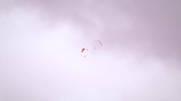 Långdistans Skott Två Paragliders Flyttar Nära Varandra Schweiz Kameran Följer — Stockvideo