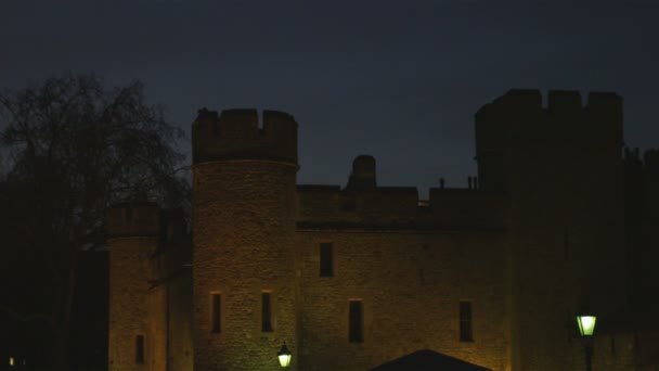 Mittelweite Aufnahme Der Burg Bei Nacht — Stockvideo