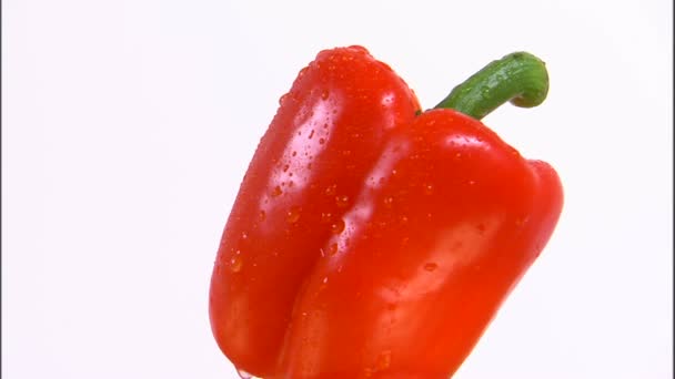 Medium Shot Red Bell Pepper Rotating White Screen — Stock Video