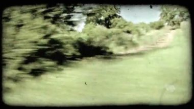 İtalya'da bir araba ağaç ve tarlanın camından vurulmuş. Vintage stilize video klip.