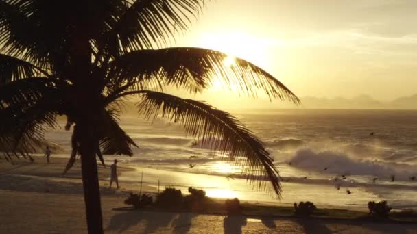 Pôr Sol Sobre Praia Ipanema Pessoas Caminham Direção Ondas Uma — Vídeo de Stock