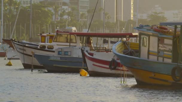 Ріо Жанейро Бразилія Червня 2013 Різні Човни Затоці Гуанабаара Золотих — стокове відео