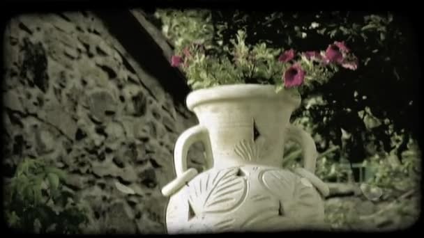Lövés Egy Kerti Váza Virággal Beültetett Belül Olaszországban Vintage Stilizált — Stock videók