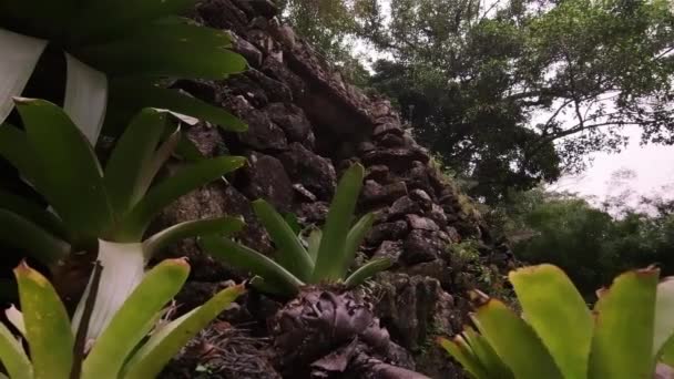 跟踪拍摄的雅尔丁植物学 力拓在大岩石 Ediface — 图库视频影像