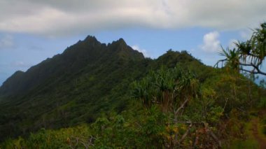 Tropikal yeşil ağaçlar, güneş döküm gölgeler dağ ve hızlı bir şekilde yukarıda hızlandırılmış hareket halinde hareket bulutlar üzerinde uzun boylu Hawaii dağ tarafı görünümünü kaplı.