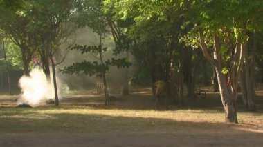 Bali, Endonezya - 2013 yaklaşık: Çok bir özelliği yapraklarda yan yatan adam vurdu