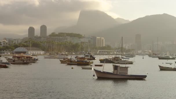 Пан Човнах Прив Язаний Туманний Ранковий Затоки Гуанабара Ріо Жанейро — стокове відео