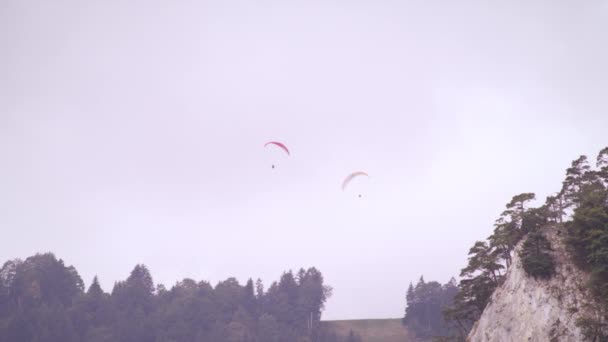 Dlouhý Záběr Dvou Paraglidů Vznášejících Nad Stromy Švýcarsku — Stock video