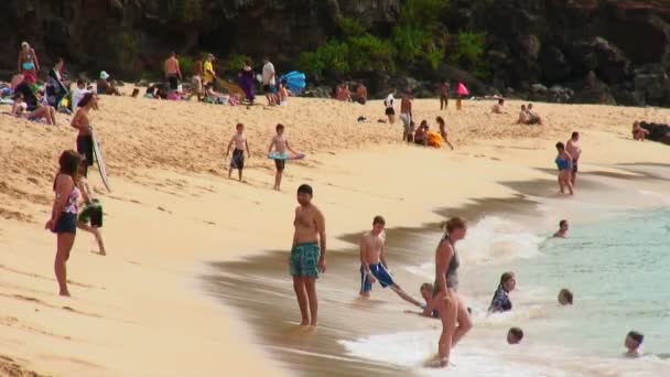 Средний Снимок Многих Людей Фамиль Посещающих Чистый Красивый Пляж Гавайях — стоковое видео