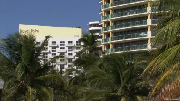Una Foto Hoteles Miami Con Palmeras Primer Plano — Vídeos de Stock