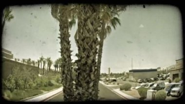 Sokak medyan içinde büyüyen bir palmiye ağaç gövdesi yukarıya eğerek görüntüleri. Binalar ve park etmiş arabaların sokak surround. Vintage stilize video klip.