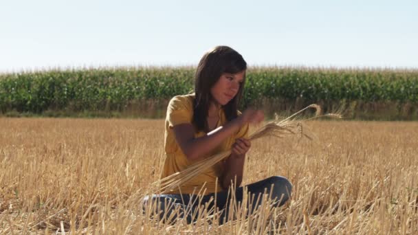 Mädchen Das Auf Dem Feld Sitzt Arbeitet Mit Weizensträhnen Blickt — Stockvideo