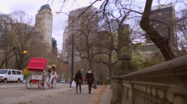 New York'ta at arabaları yavaş zoom çekim. Siyah giyinmiş kadınlar birlikte yürüyor ve alışveriş çantaları taşıyorlar..
