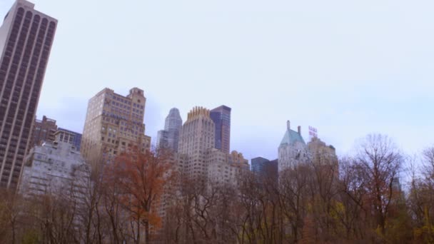 カラフルな木々の後ろにニューヨーク市の建物のパンニングショット カメラが左から右にパンする — ストック動画