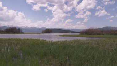 Yellowstone'da bulutlu bir mavi gökyüzü altında çimenli akışının geniş çekim.