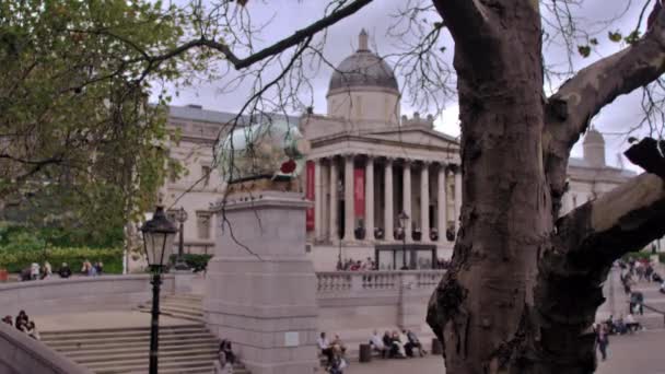 特拉法加广场国家美术馆大楼的固定镜头 一棵树在前景在伦敦英格兰 — 图库视频影像