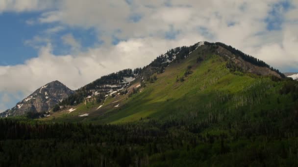 Hermosa Vista Panorámica Montaña Árboles Siempreverdes Hierba Alta Montaña Con — Vídeo de stock