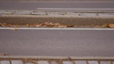 Arka planda asfalt sokak ile beyaz at çekme arabası Closeup çekim.