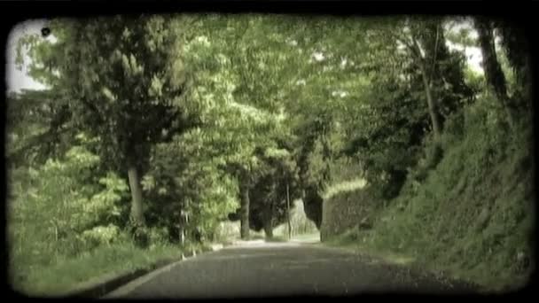 Съемка Улицы Италии Покрытой Тенями Деревьев Выстроившихся Сторонам Винтажный Стилизованный — стоковое видео