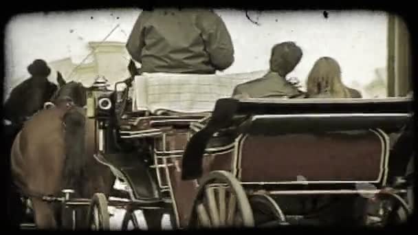 Shot Two Carriages Passing Each Other Vienna Street Vintage Stylized — Stock Video
