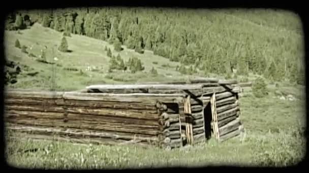 Pan Old Abandoned Log Cabin Roof Surrounded Grass Bushes Wildflowers — Stock Video