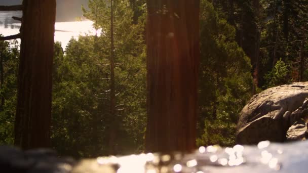 在森林里拍摄小溪 岩石和树木 拍摄于加州塔霍湖翡翠湾州立公园 — 图库视频影像