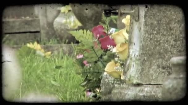 Ein Schuss Italienischer Grabsteine Vintage Stilisierter Videoclip — Stockvideo