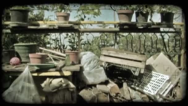 Shot Přeplněného Zahrada Rostlin Italském Městě Vintage Stylizované Videoklip — Stock video