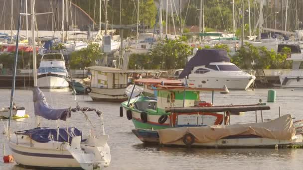 Guanabara Öbölre Rio Janeiro 2013 Június Rio Marina Egy Kis — Stock videók