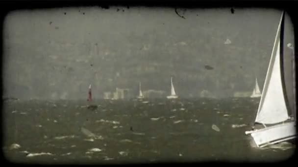 人们悠闲地横渡未交收水域清洁 蓝色和白色的帆船 在有风的天气 其他船只 与大城市旧金山在朦胧的背景 — 图库视频影像