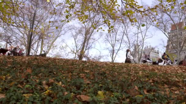 Tiro Panorámico Carruajes Tirados Por Caballos Forma Fondo Una Colina — Vídeos de Stock