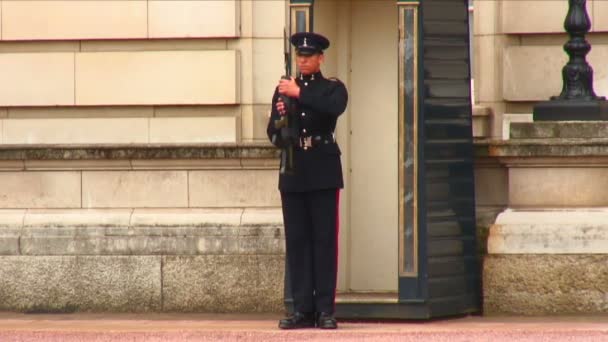 ロンドン イギリスのバッキンガム宮殿の前でロンドン イギリス 2011 歩哨彼の銃器を持つ動きを実行する 盛大にステップ — ストック動画