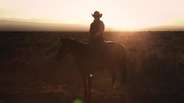 Tiro Estático Cowboy Sentado Cavalo Com Pôr Sol Nas Costas — Vídeo de Stock