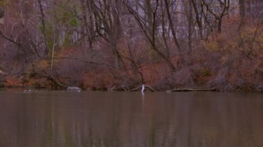 New York'taki gökdelenlere su ve ağaç çekimi. Su başlangıçta çerçevenin alt kısmında, ve kamera arkasında ağaçlar ve binaları yakalamak için tava.