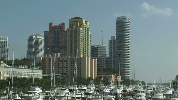 Boat Marina Tall Buildings Background Miami — Stock Video