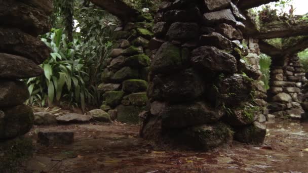 Tracking Shot Water Dripping Base Stone Structures Jardim Botanico Rio — Stock Video