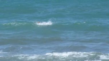 İtalya sahilde dalgaların içine yürüyen bir kadın.