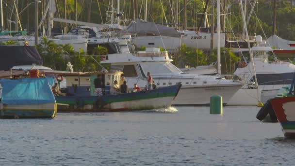 Rio Janeiro Brazília Június 2013 Statikus Lövés Egy Cirkáló Csónak — Stock videók
