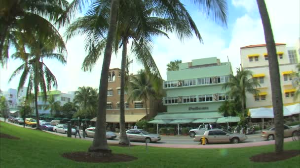 Plano Una Calle Miami Con Palmeras Primer Plano — Vídeos de Stock