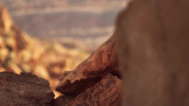 Rack Focus Shot Klippformationer Elephant Rock Nevada Vid Valley Fire — Stockvideo